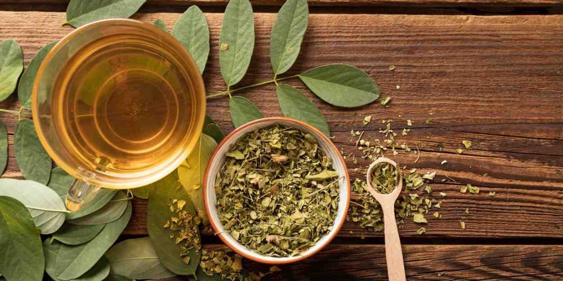 Herbal tea with yerba mate leaves on rustic wooden table.