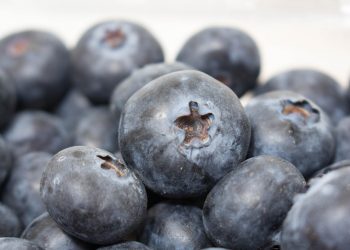 Fresh blueberries in close-up view.