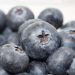 Fresh blueberries in close-up view.