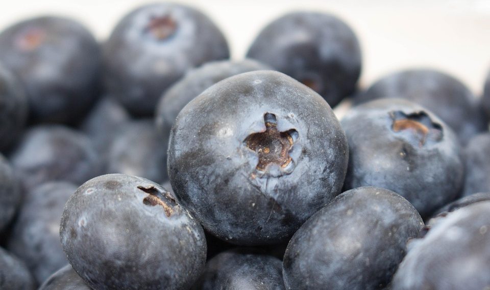 Fresh blueberries in close-up view.