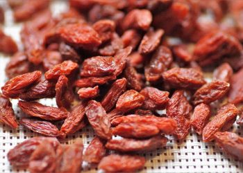 Dried goji berries on a mesh surface.