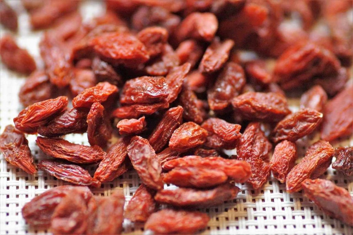 Dried goji berries on a mesh surface.