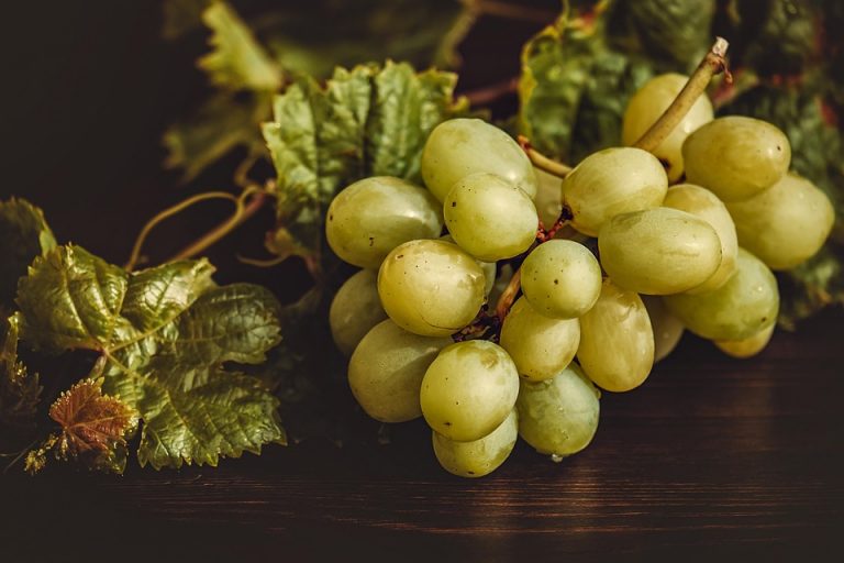 Green grapes with lush leaves on a wooden table.