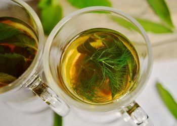 Herbal tea with fresh mint and fennel leaves in glass cups.