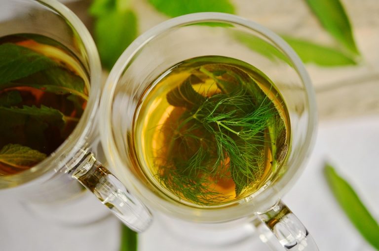 Herbal tea with fresh mint and fennel leaves in glass cups.