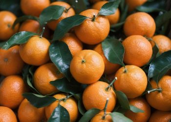 Juicy oranges with green leaves in a basket.