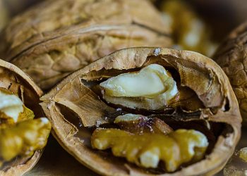 Cracked walnut revealing fresh, raw nuts.