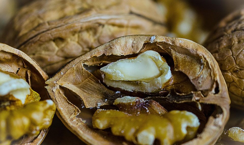 Cracked walnut revealing fresh, raw nuts.