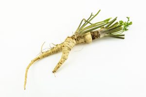 Parsnip root with green leaves on white background.