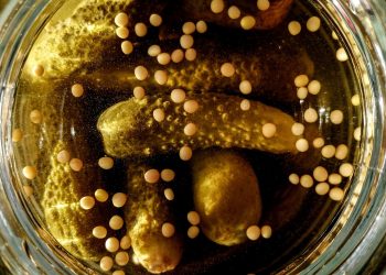 Pickles and mustard seeds in brine jar.