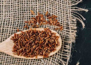 Red rice on a wooden spoon with burlap background.