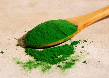 Green spirulina powder on a wooden spoon.