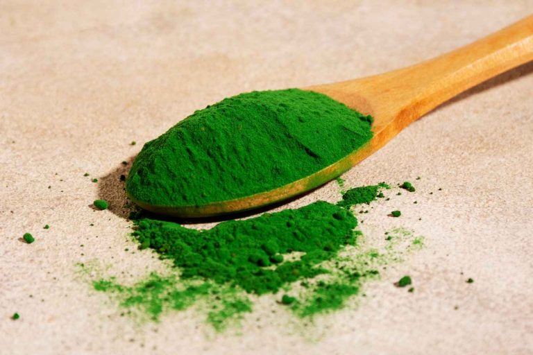 Green spirulina powder on a wooden spoon.