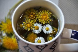 Floating daisies and dandelions in herbal tea cup.