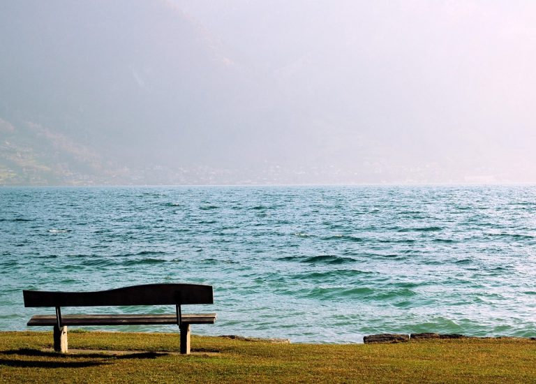 Empty bench overlooking a serene lake on a foggy day.