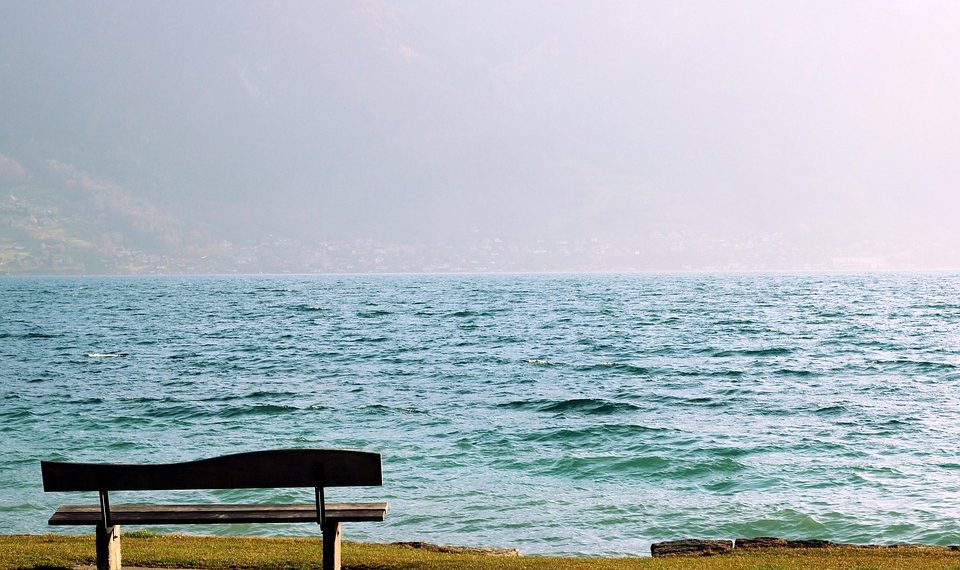 Empty bench overlooking a serene lake on a foggy day.