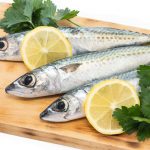 Raw mackerel fish isolated on white background