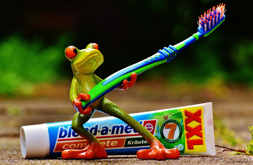 Frog figurine holding a large toothbrush with toothpaste in background.