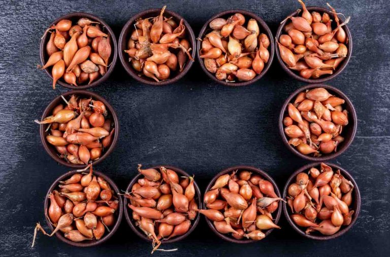 A set of onions or small shallots in bowls in rectangular form top view