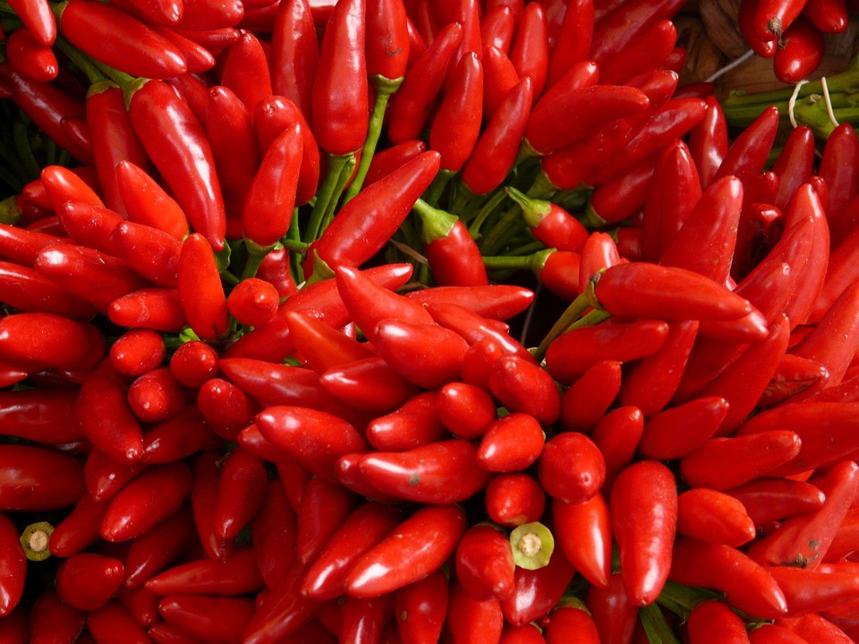 Vibrant red chili peppers clustered together