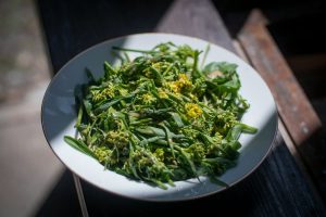 green vegetable on white ceramic plate mustard greens
