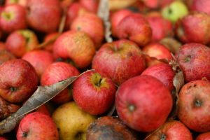 A pile of ripe red and yellow apples.