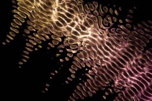 Vibrant abstract fractal design with glowing neon patterns on a dark background.