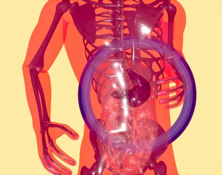gut health and hypertension