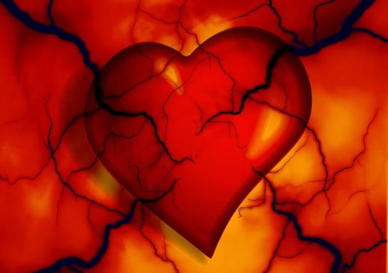 heart, medicine, health, disease, heartbeat, blood pressure, veins, arteries, heartbeat, heartbeat, heartbeat, heartbeat, blood pressure, blood pressure, blood pressure, blood pressure, blood pressure