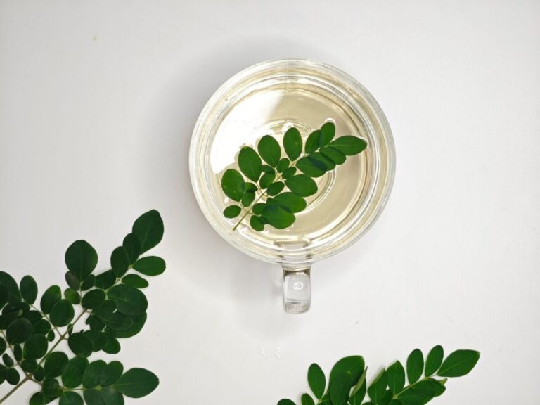 A glass cup of herbal tea with fresh moringa leaves on a white background, viewed from above.