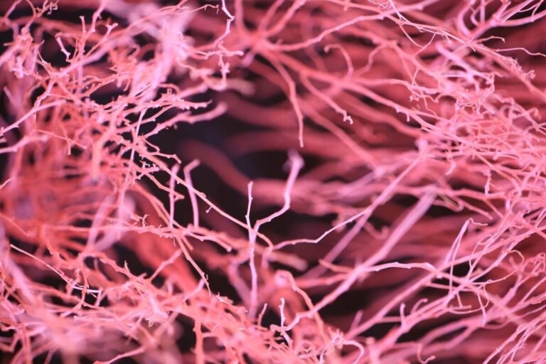 Close-up abstract image of intricate pink branches with a dark background.