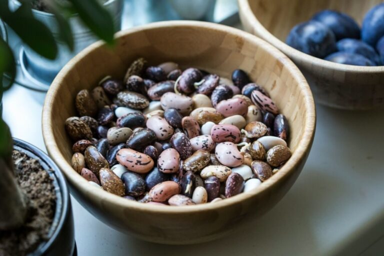 beans for longevity diet