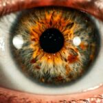 A close-up of a human eye with a grey and orange iris